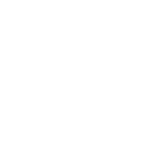 logo-bolzan-white_big